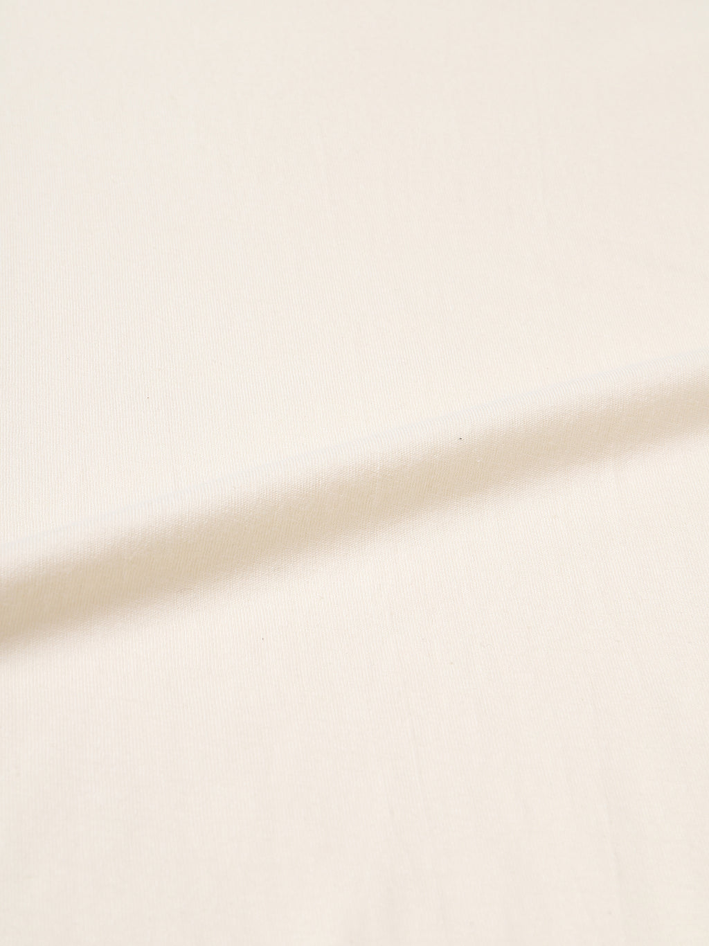 Stay Silly Goose Graphic T-Shirt - Belarté